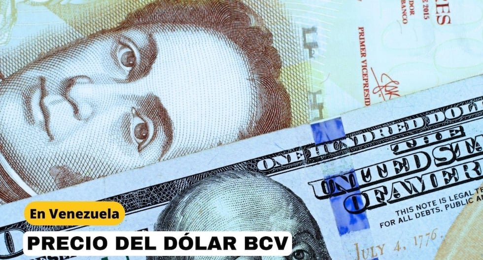 Cuánto está el Dólar BCV HOY, 20 de diciembre: Tasa según el Banco Central de Venezuela | RESPUESTAS Cuánto está el Dólar BCV HOY, 20 de diciembre: Tasa según el Banco Central de Venezuela | RESPUESTAS