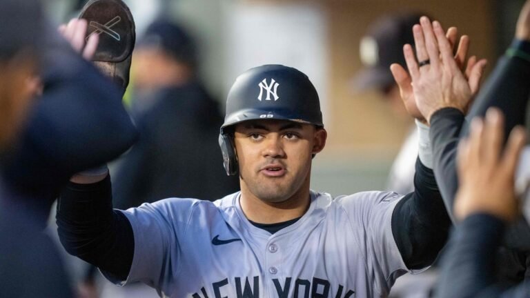 El dominicano Jasson Domínguez se hará cargo del jardín izquierdo de Yankees