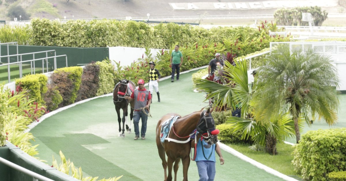Favoritos de la cátedra para el 5y6 Nacional de la reunión N°6 en el hipódromo La Rinconada Favoritos de la cátedra para el 5y6 Nacional de la reunión N°6 en el hipódromo La Rinconada