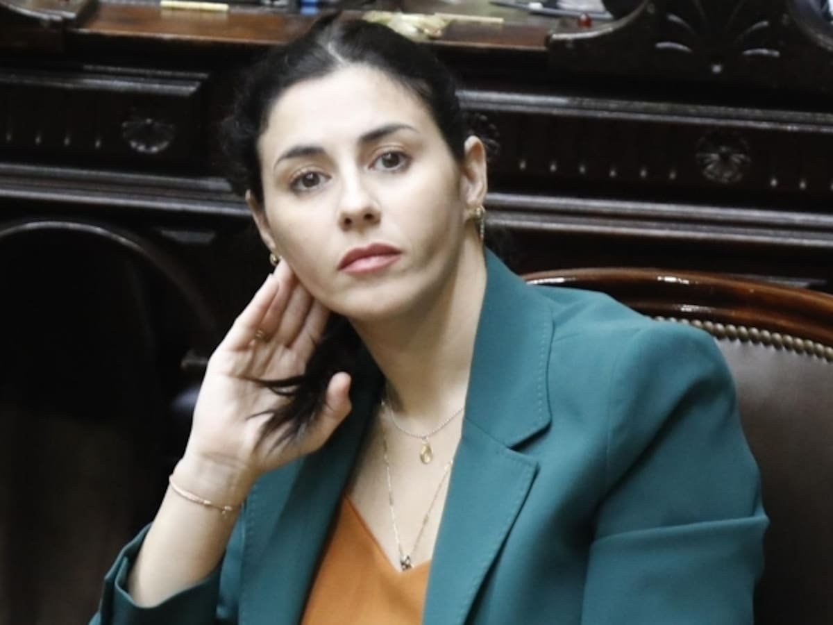 Pagano dio una curiosa explicación sobre por qué el tuit de Milei no fue delito y despertó reacciones