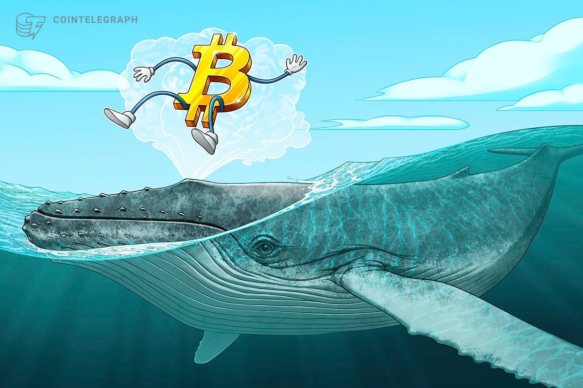Precio de Bitcoin cae hacia mínimos del rango, pero datos muestran ballenas muy activas Precio de Bitcoin cae hacia mínimos del rango, pero datos muestran ballenas muy activas