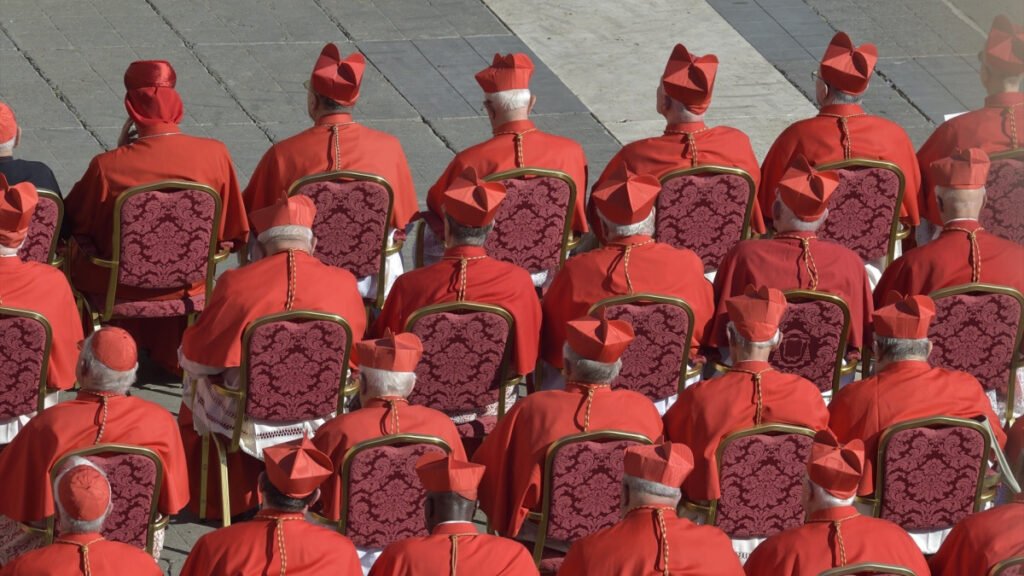 ¿Progresista o conservador? Estos podrían ser los sucesores del papa Francisco ¿Progresista o conservador? Estos podrían ser los sucesores del papa Francisco