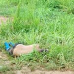 Hombre murió tras huir de presuntos funcionarios armados en El Callao