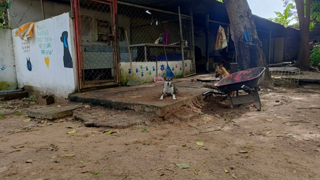 Directora de Fundaproba: “Esta es mi iglesia, es mi manera de amar a Dios” Directora de Fundaproba: “Esta es mi iglesia, es mi manera de amar a Dios”